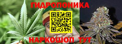 ПСИЛОЦИБИНОВЫЕ ГРИБЫ Бузулук