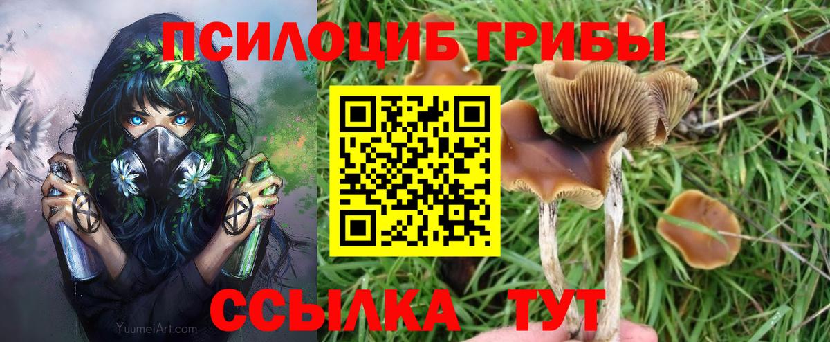 Псилоцибиновые грибы GOLDEN TEACHER Сердобск