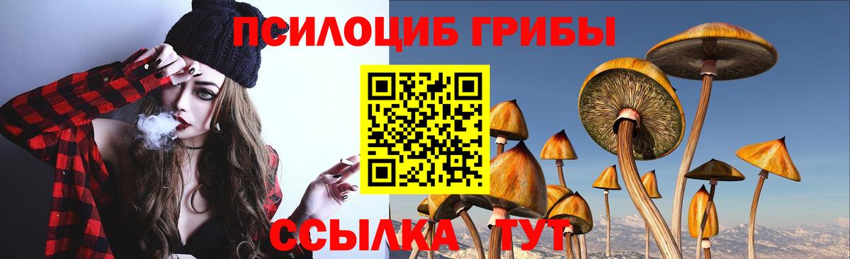 Галлюциногенные грибы Magic Shrooms  даркнет сайт  Сердобск  Галлюциногенные грибы мухоморы  Вход с VPN 